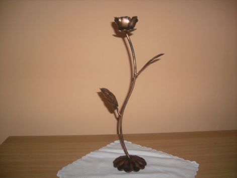 dsci0596.jpg dsci0596.jpg