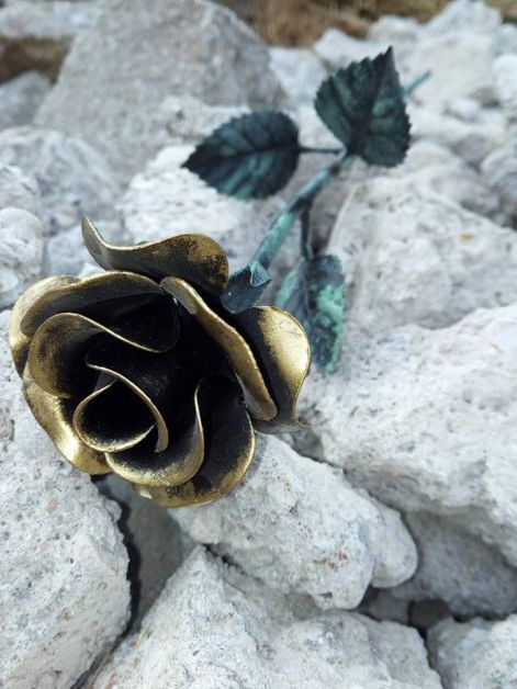 sziklarozsa.jpg sziklarozsa.jpg